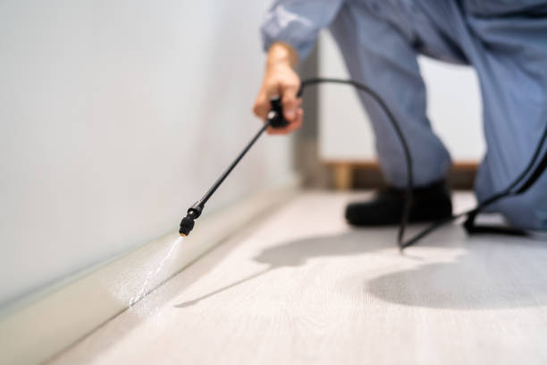 Bed Bug Pre-Treatment Preparation Assessment in Dallesport