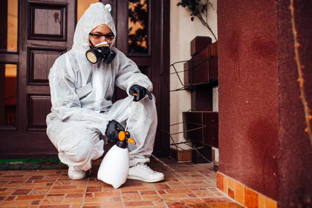 Multi-Unit and Airbnb Bed Bug Protocol in Dallesport