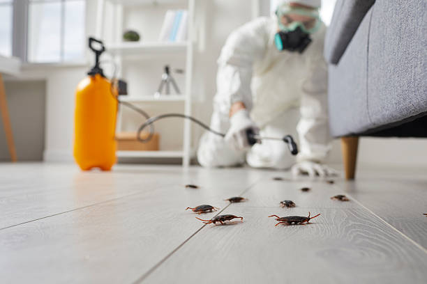 Post-Treatment Bed Bug Interceptor Monitoring in Dallesport