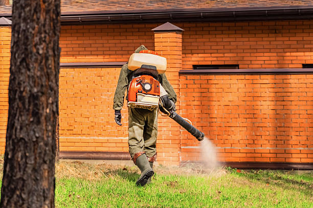 Bed Bug Clearance Verification and Documentation in Dallesport